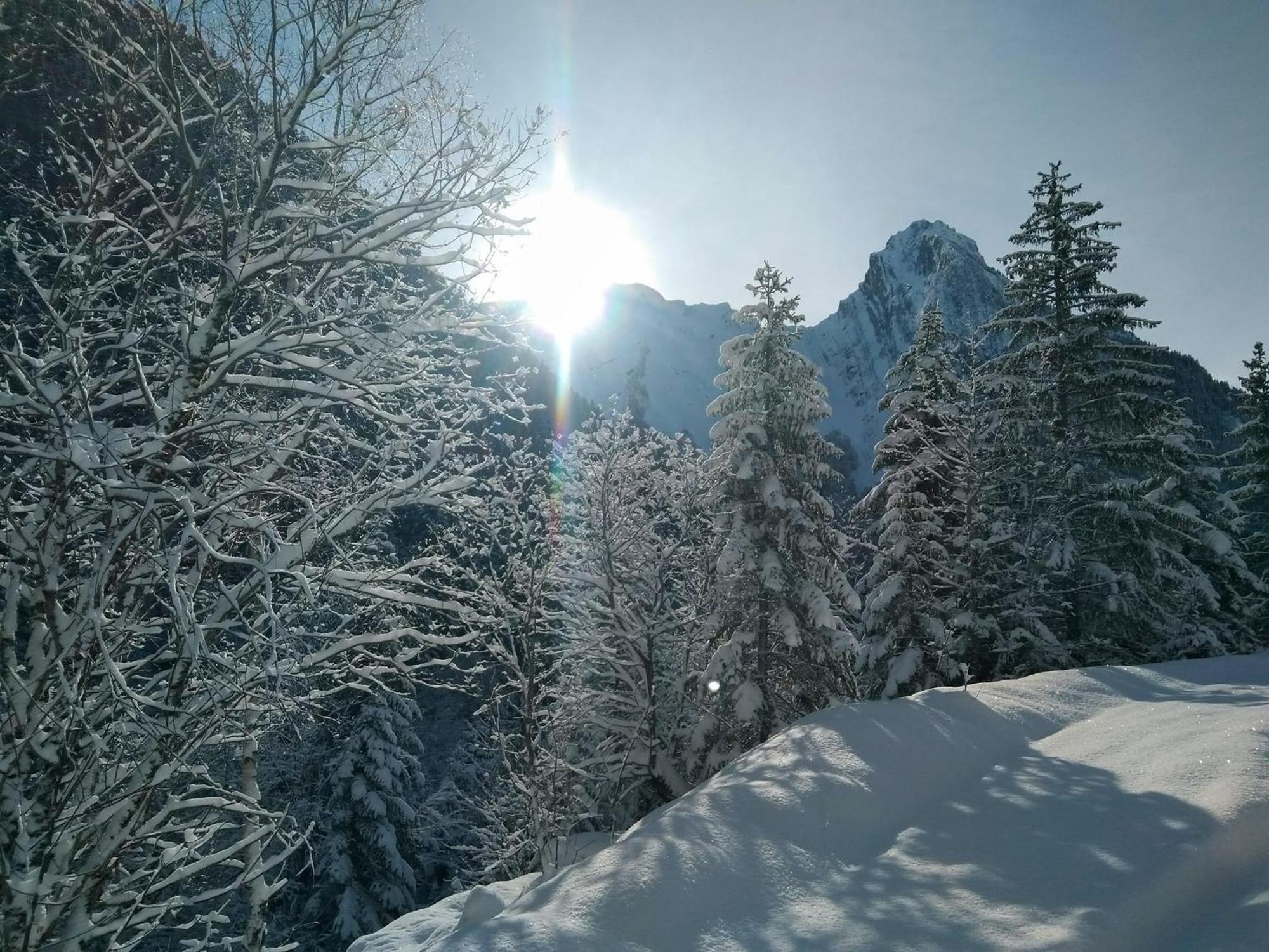 Le Refuge Du Poete Apartman Saint-François-de-Sales Kültér fotó